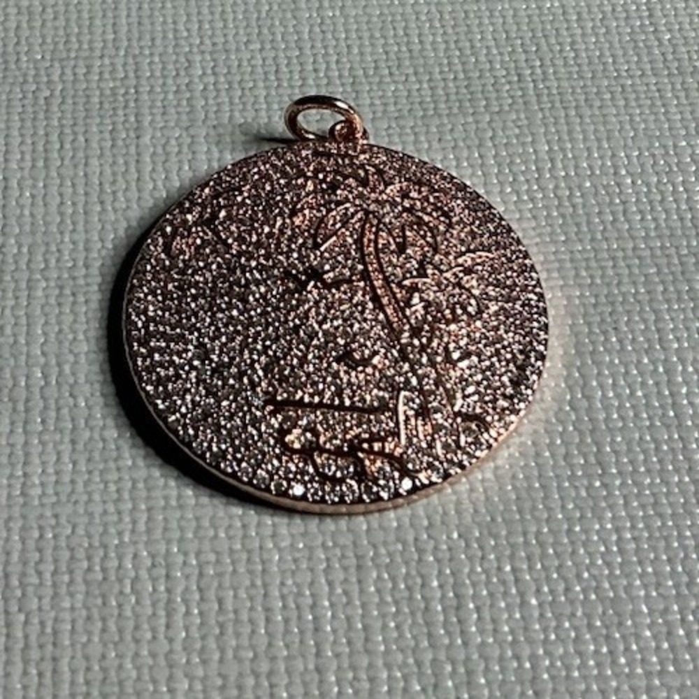 Studio by Freida Rothman Rose Gold Palm Tree Disc Pendant Charm NWOT